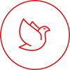 dove