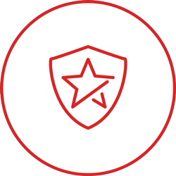 shield with star